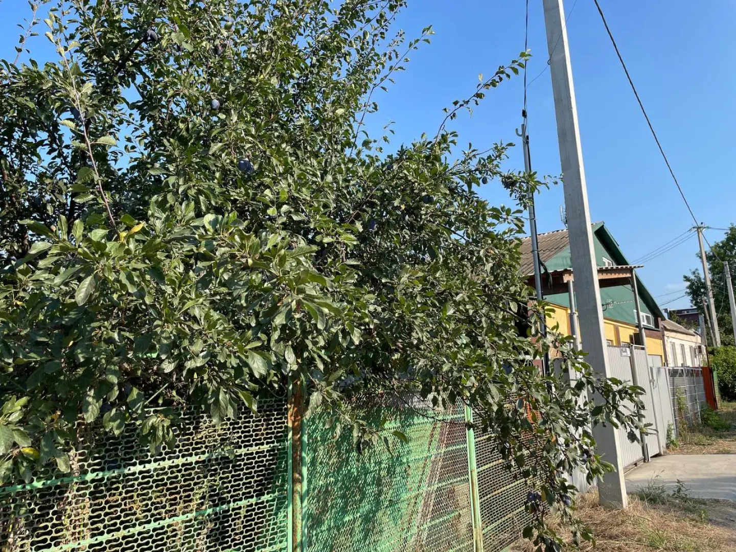 Апартаменты Белинского