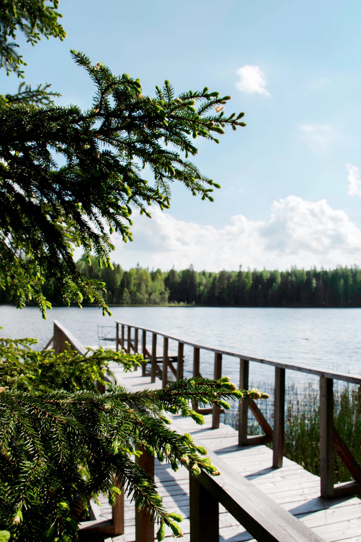Коттедж Новгородская Деревня