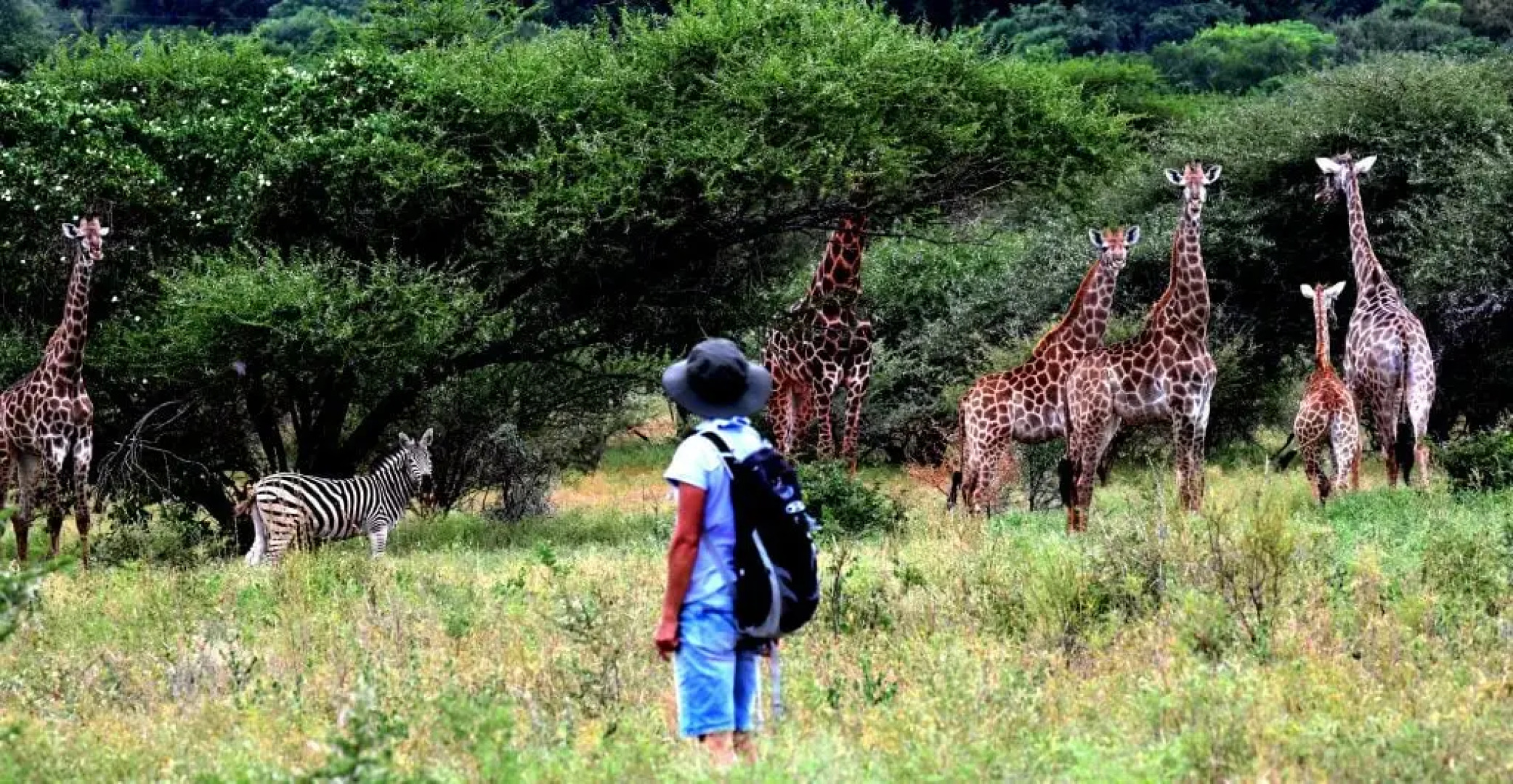 Шале The Hidden Valley
