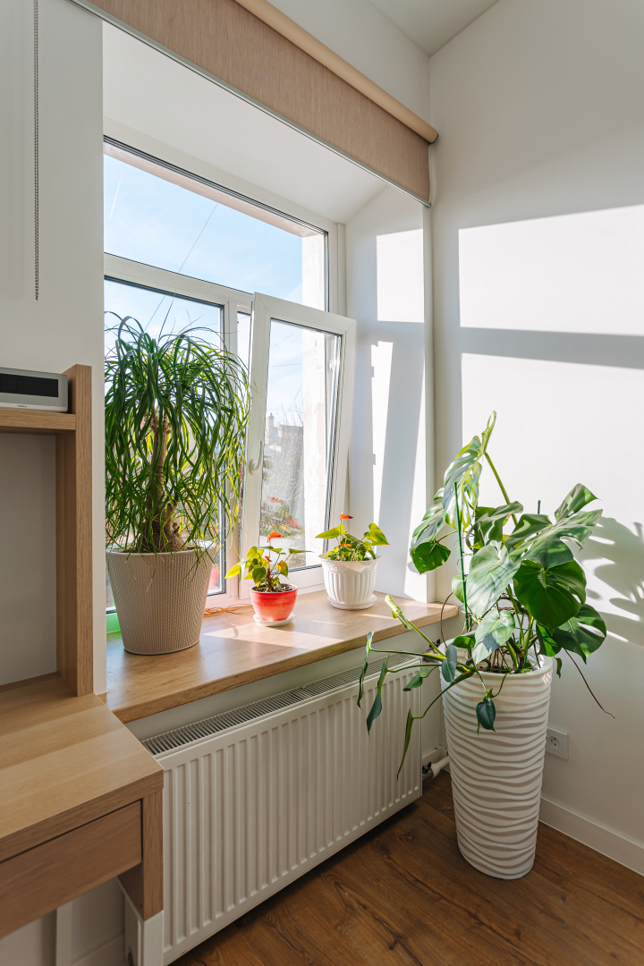 Апартаменты Sergeew Apartments 3-х комнатный Делюкс на стрелке Васильевского острова