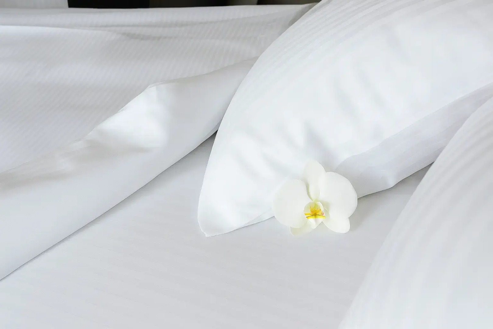 Квартира студия в Cамом сердце Адлера