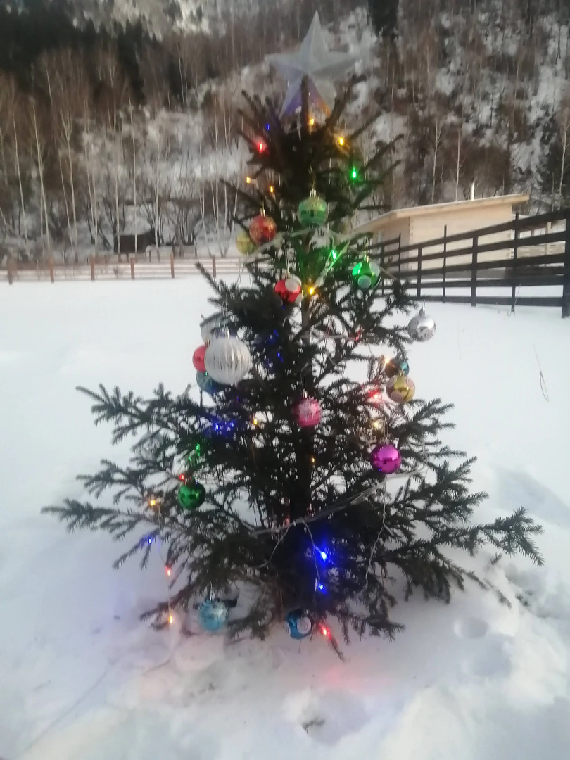 Гостевой дом Усадьба Чикмарёвых