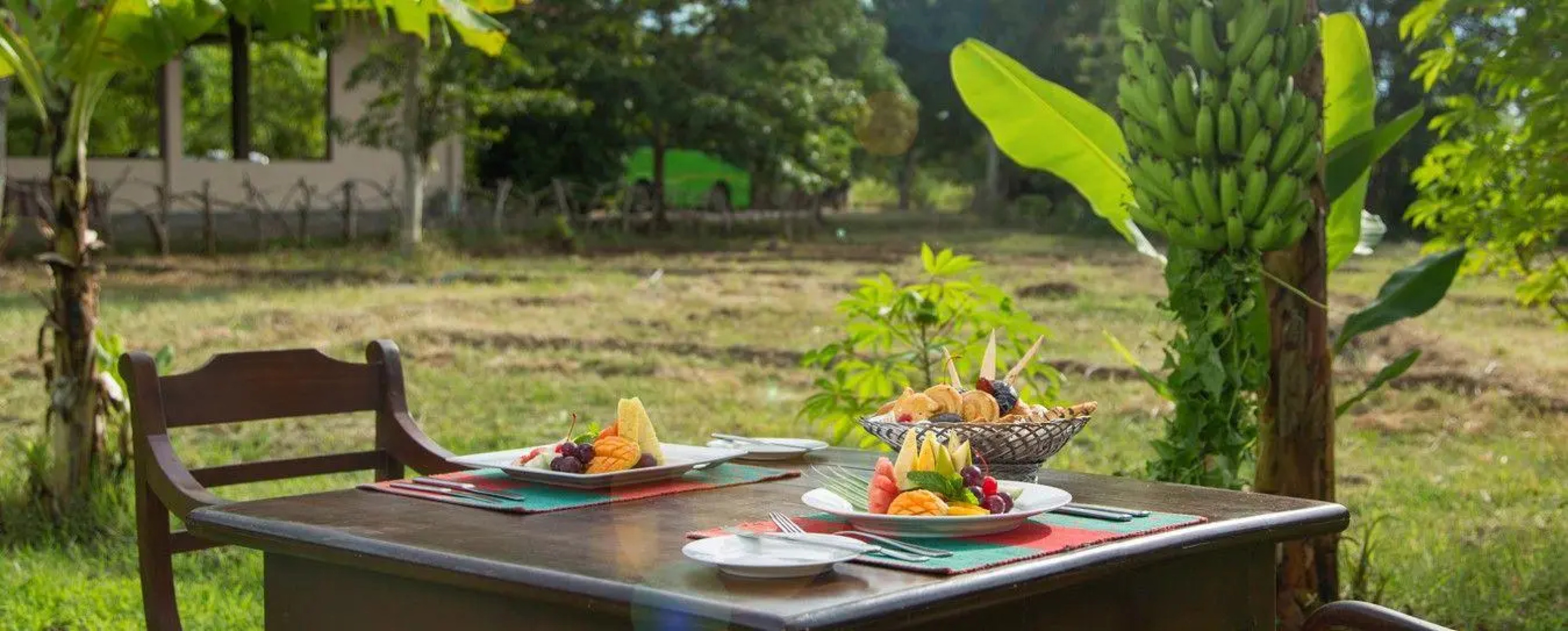 Отель Kassapa Lions Rock