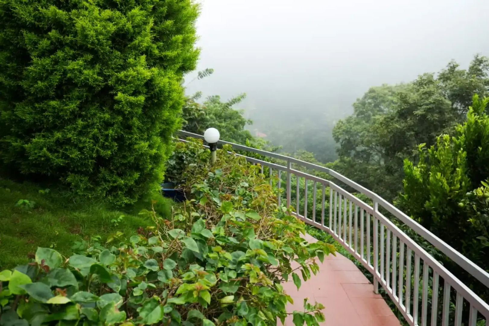 Отель Camellia and Elettaria the Twin Resorts