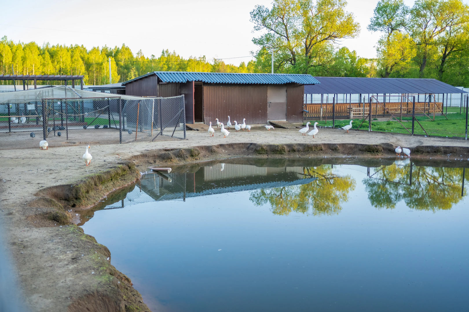 Отель Комплекc Загородного отдыха  Место 7