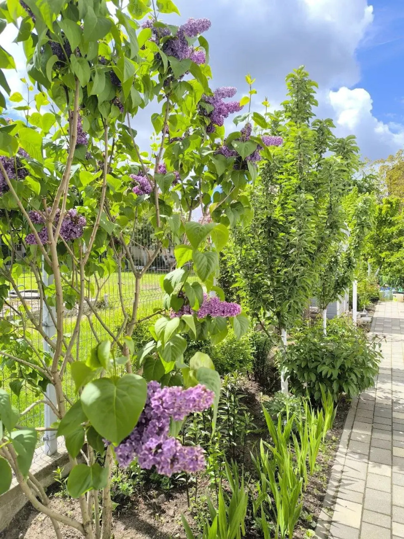 Частный дом в Калининграде