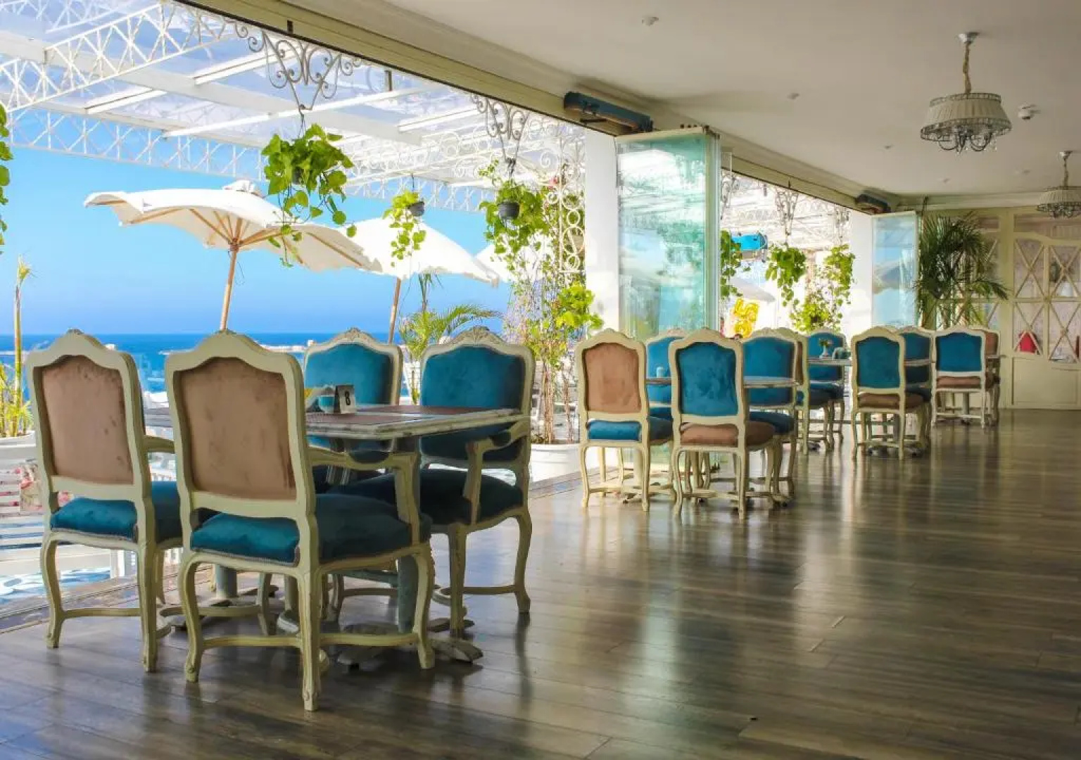 Отель Windsor Palace Luxury Heritage Hotel Since 1902