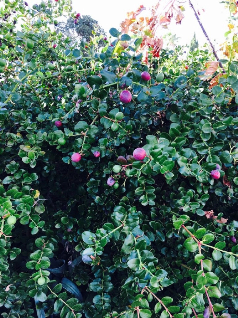 Апартаменты в Като Пафос