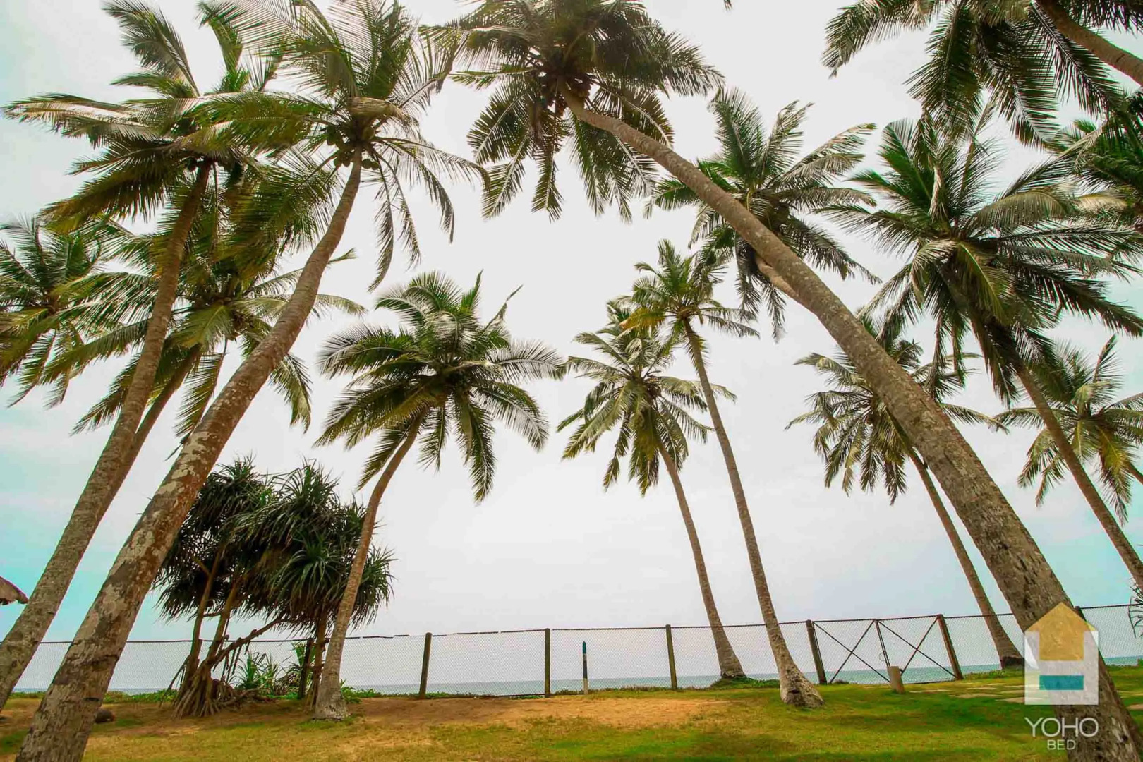 Вилла Yoho Green Turtle