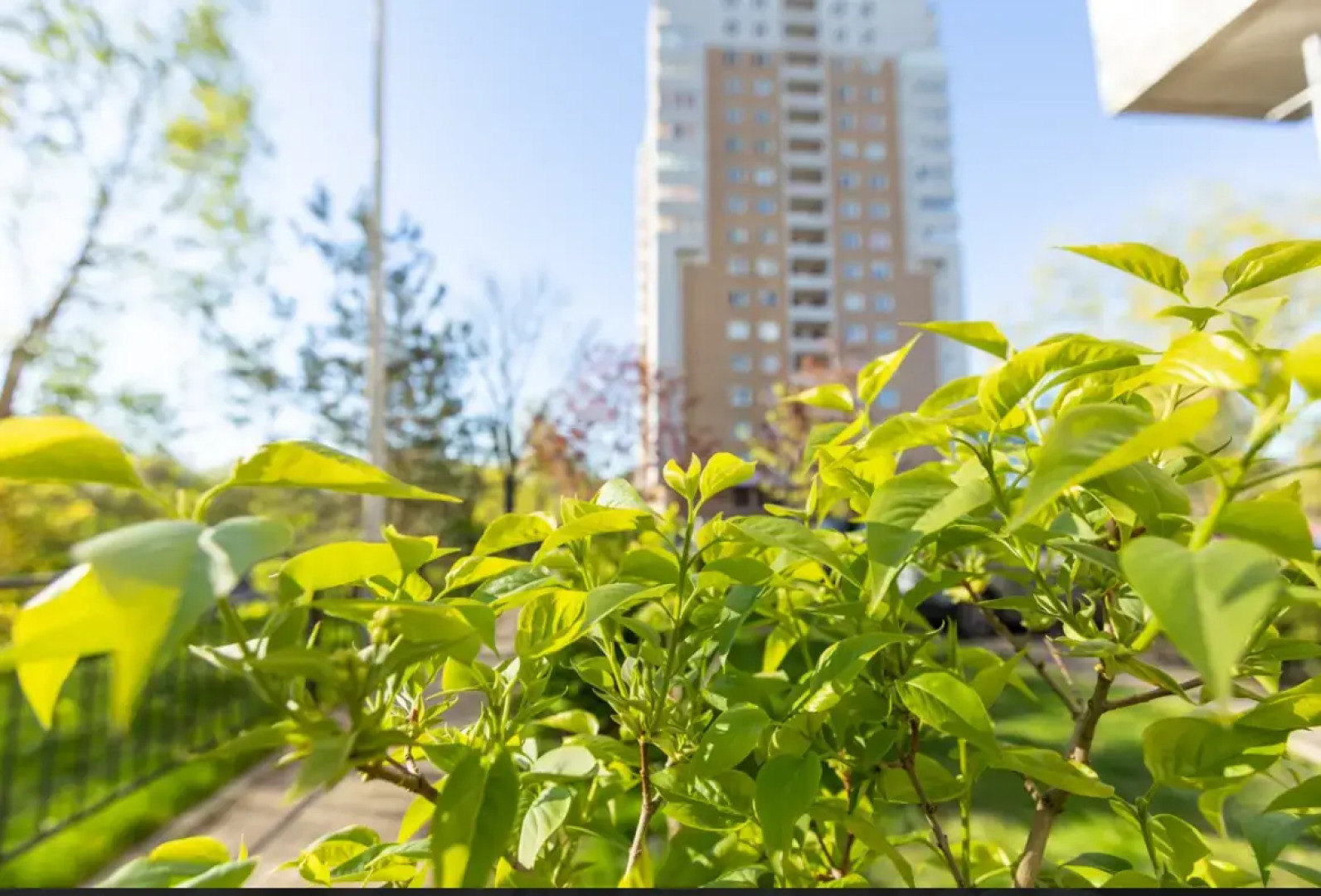 Квартира Панорама