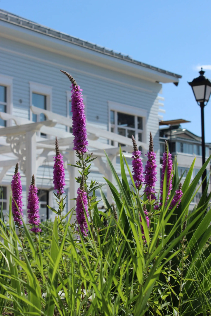 Гостевой дом Заречный 1840