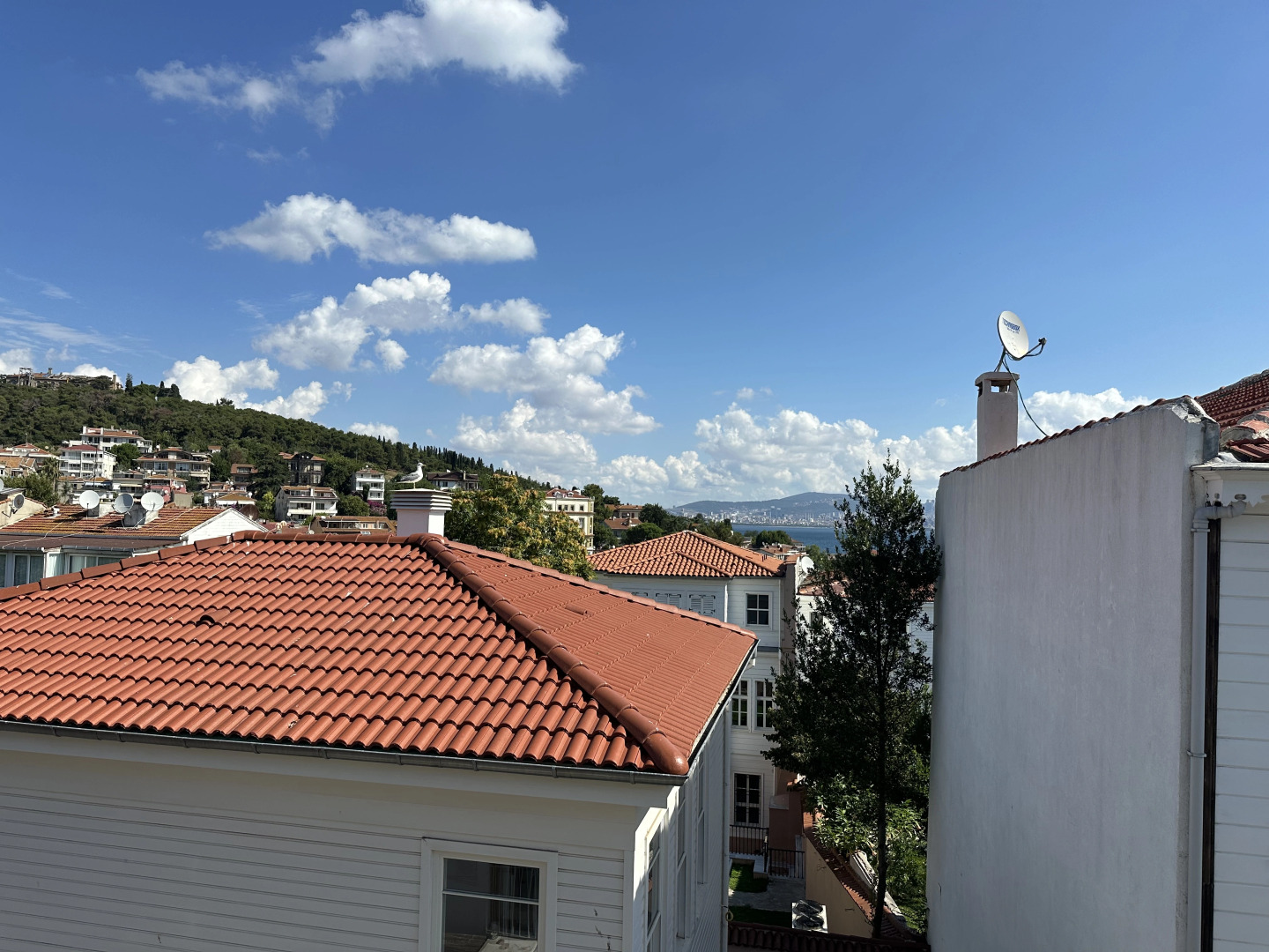 Апартаменты Mnimi