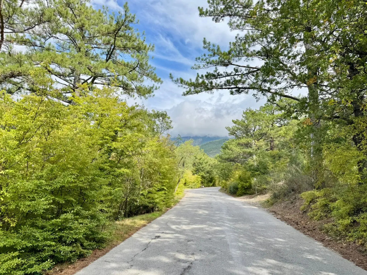 Квартира стильная в горах Ялта