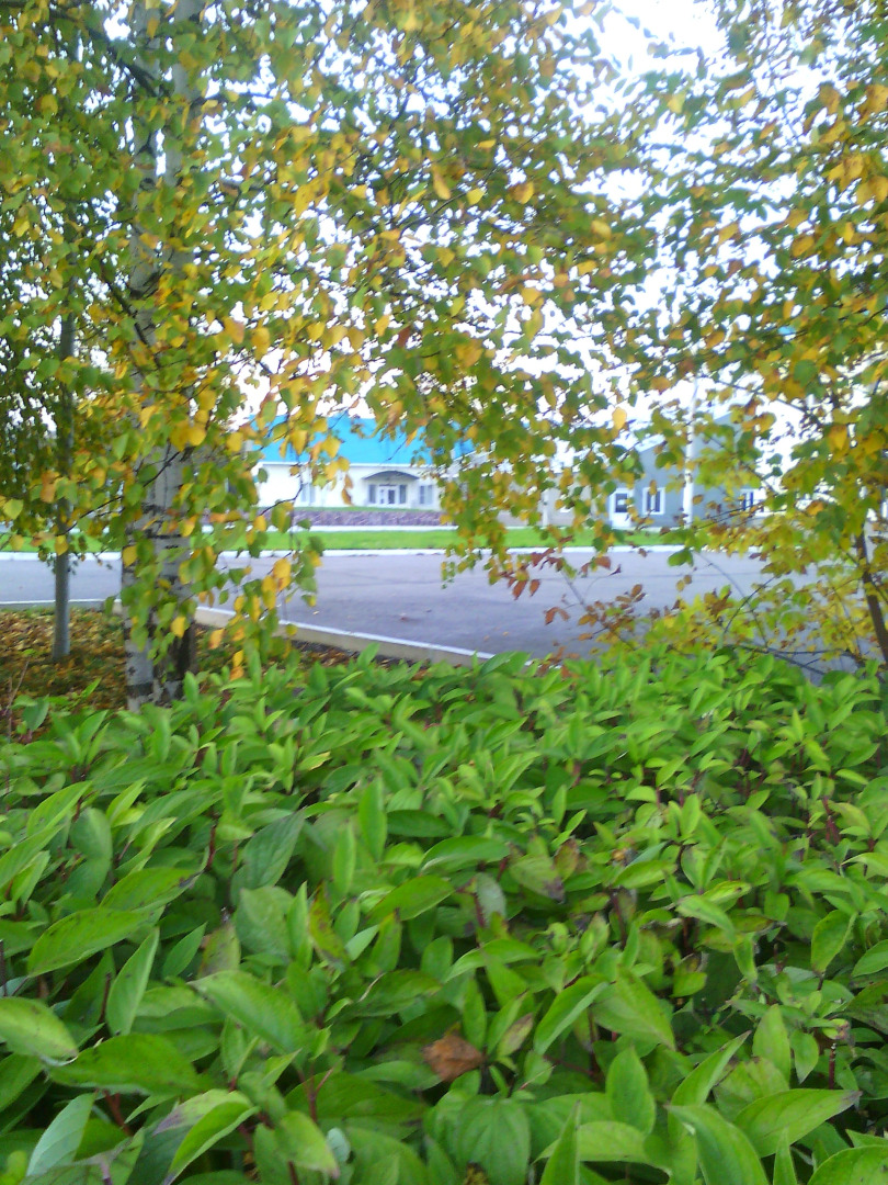 Отель Черемушки