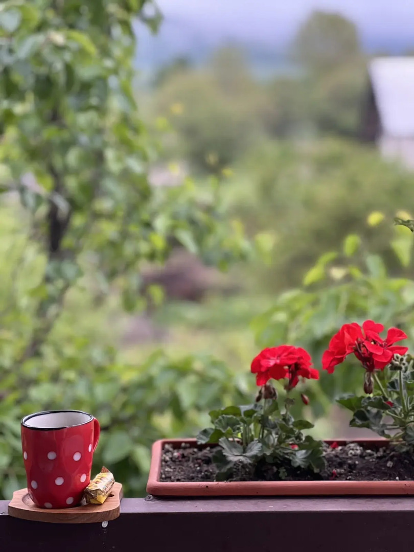 Гостевой дом  Green Agarak