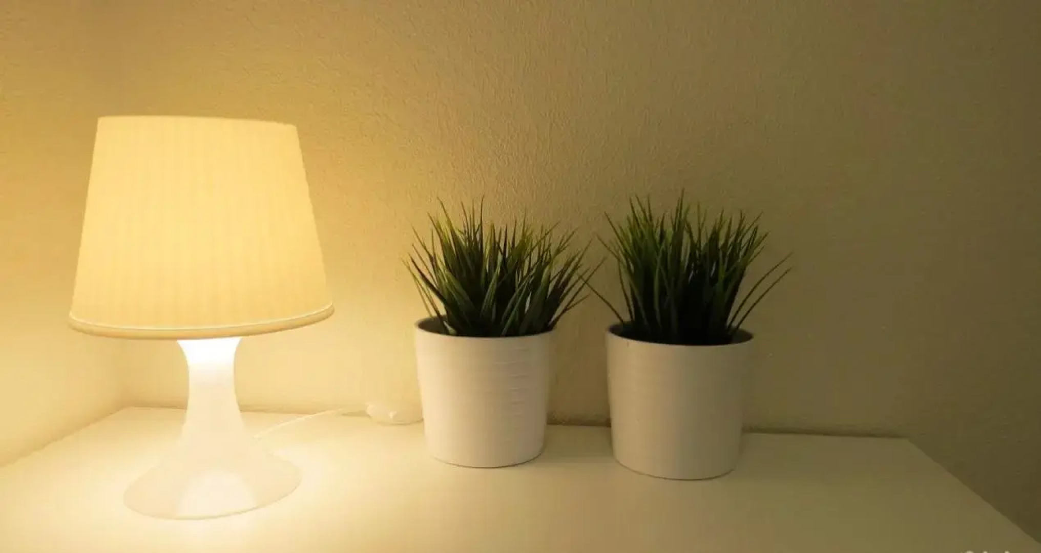 Квартира с прекрасным видом на реку Волхов