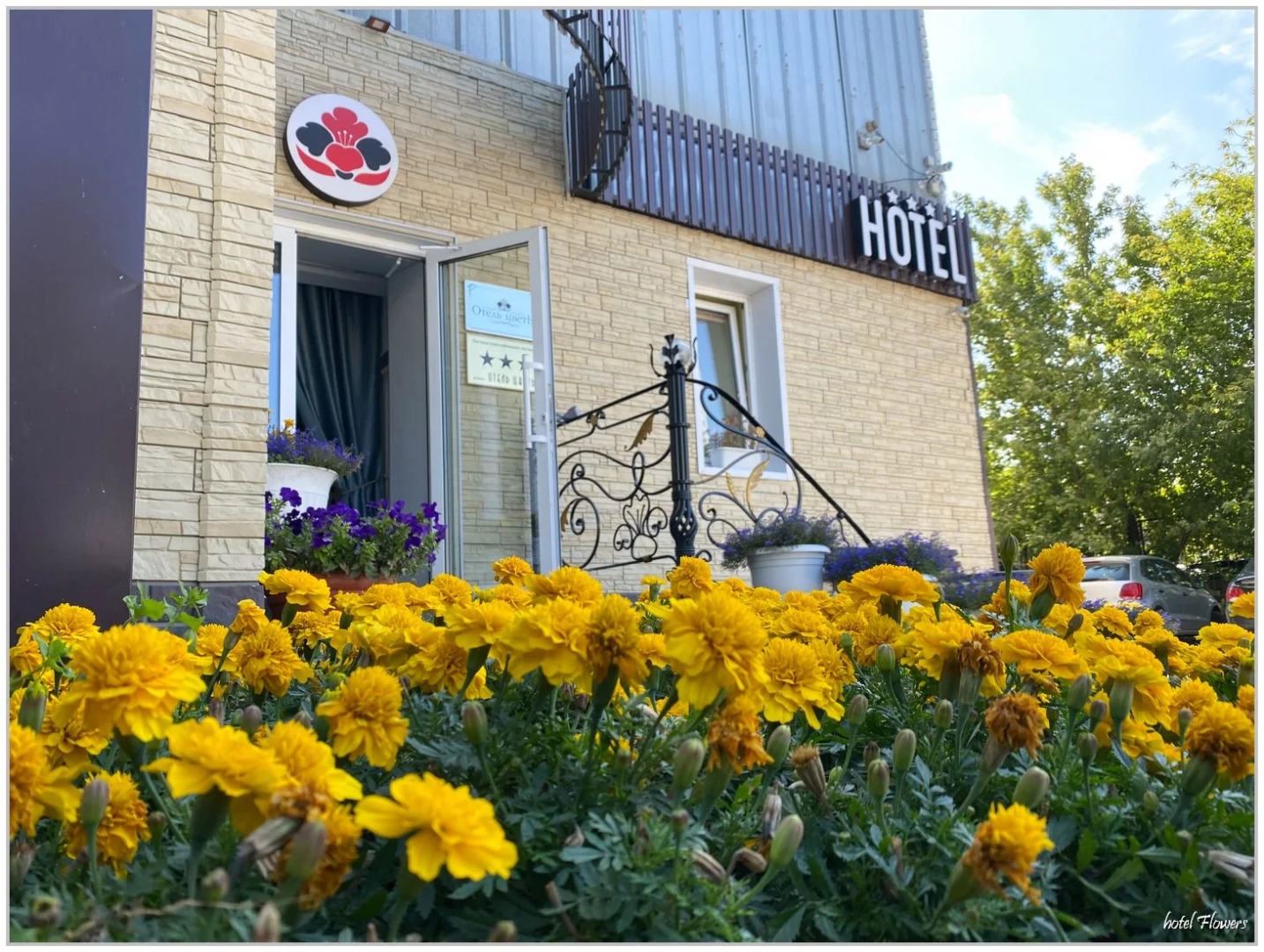 Отель ЦветЫ