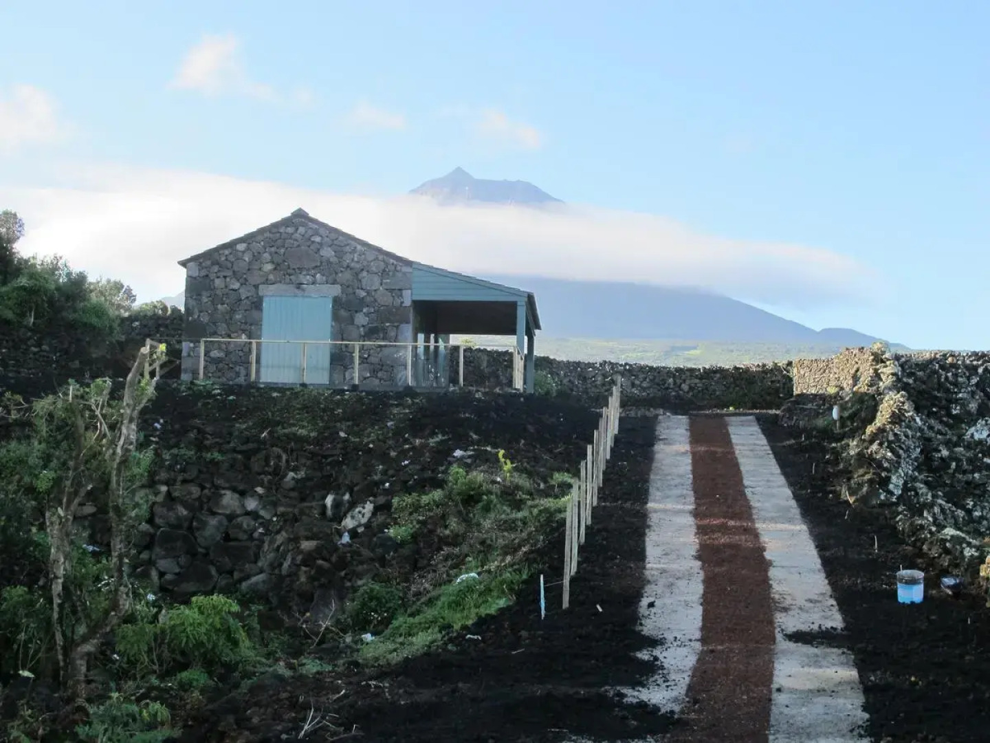 Шале Baco´s Resort