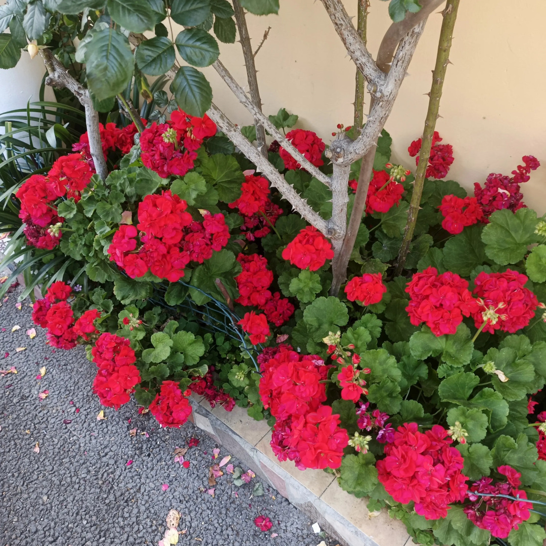 База отдыха ЛАГУНА