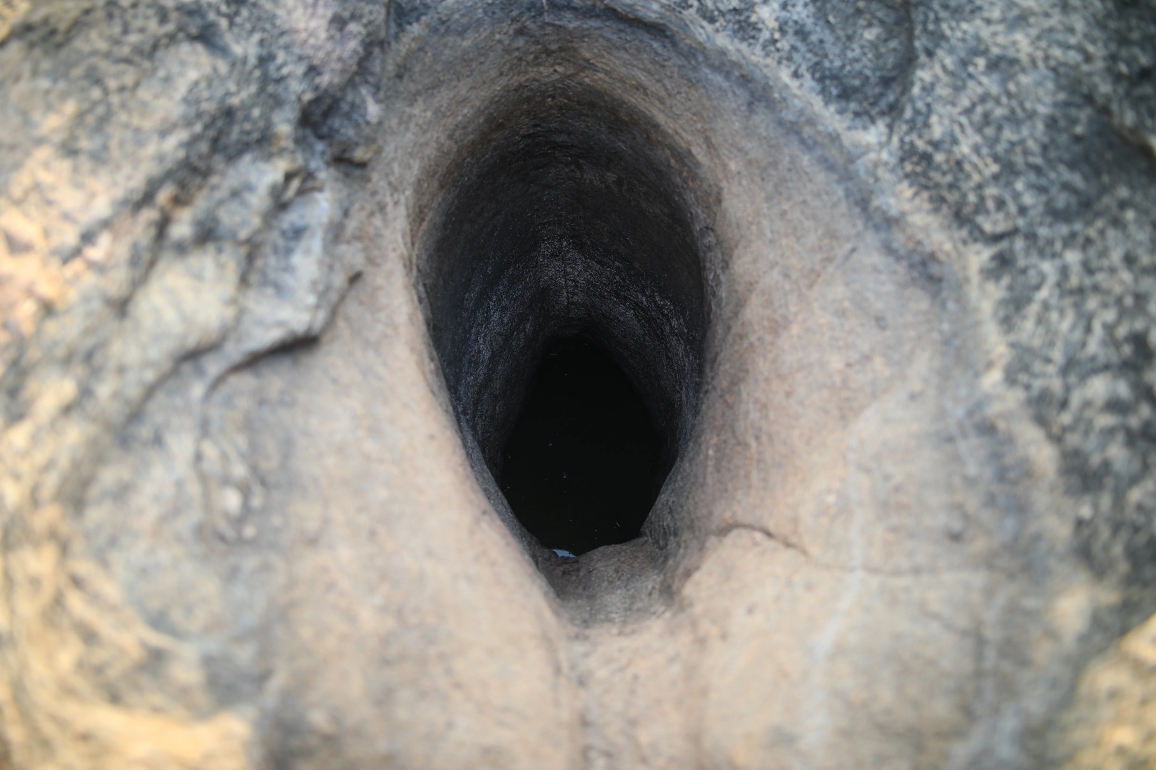 Topan Yala – Luxury Tented Safari