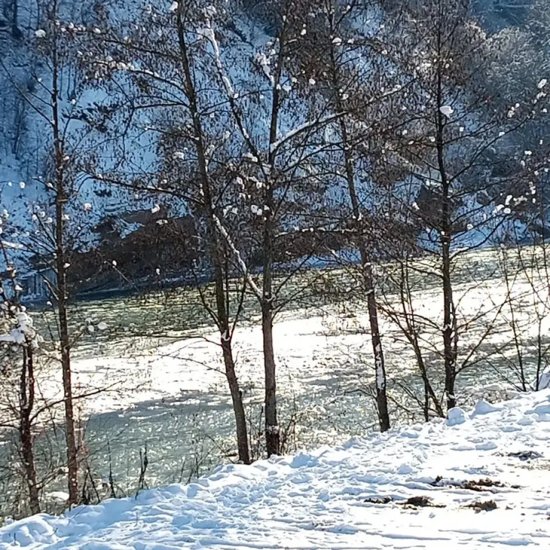Гостевой дом Отдых у реки