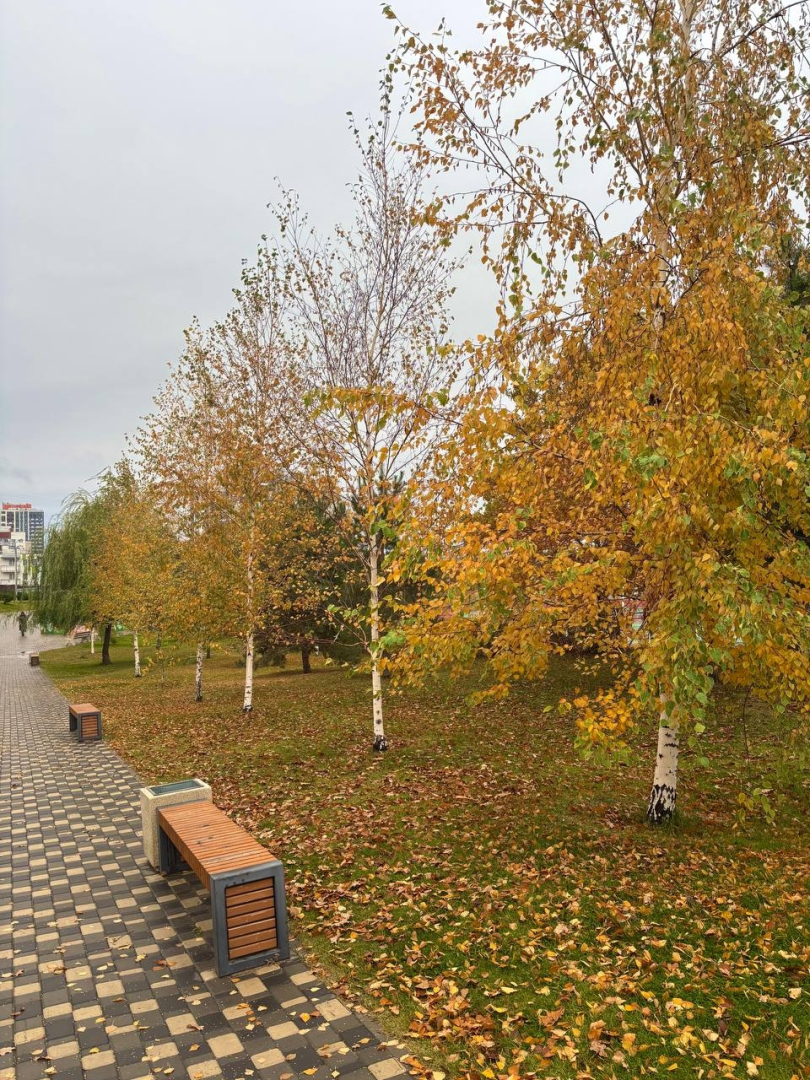 Квартира с панорамными окнами с видом на озеро