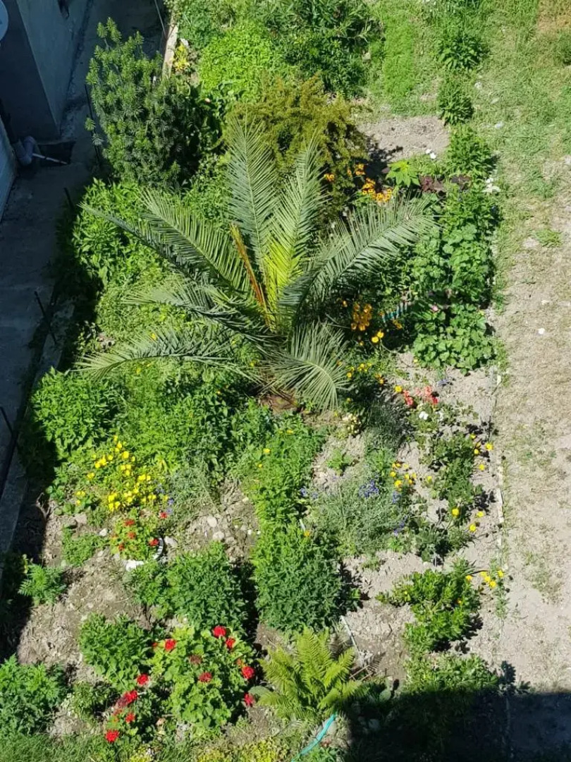 Na Giatsintovoj Guest House