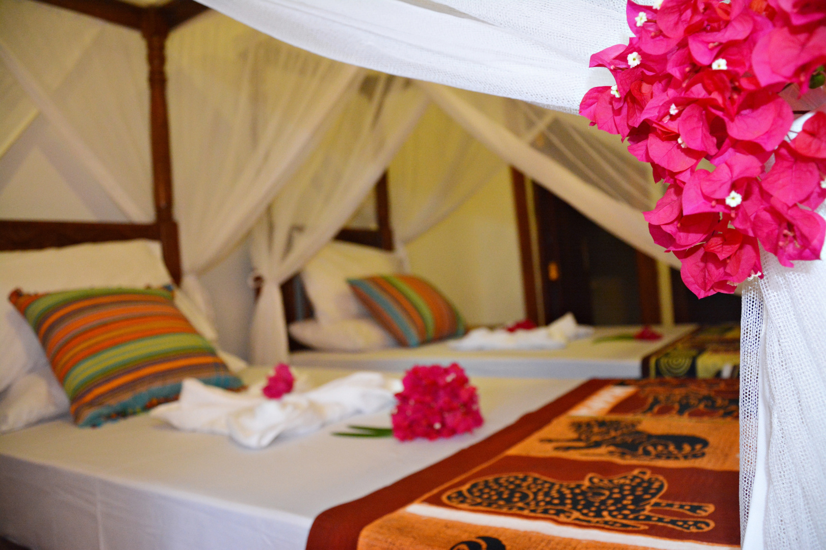 Отель Aya Beach Bungalows