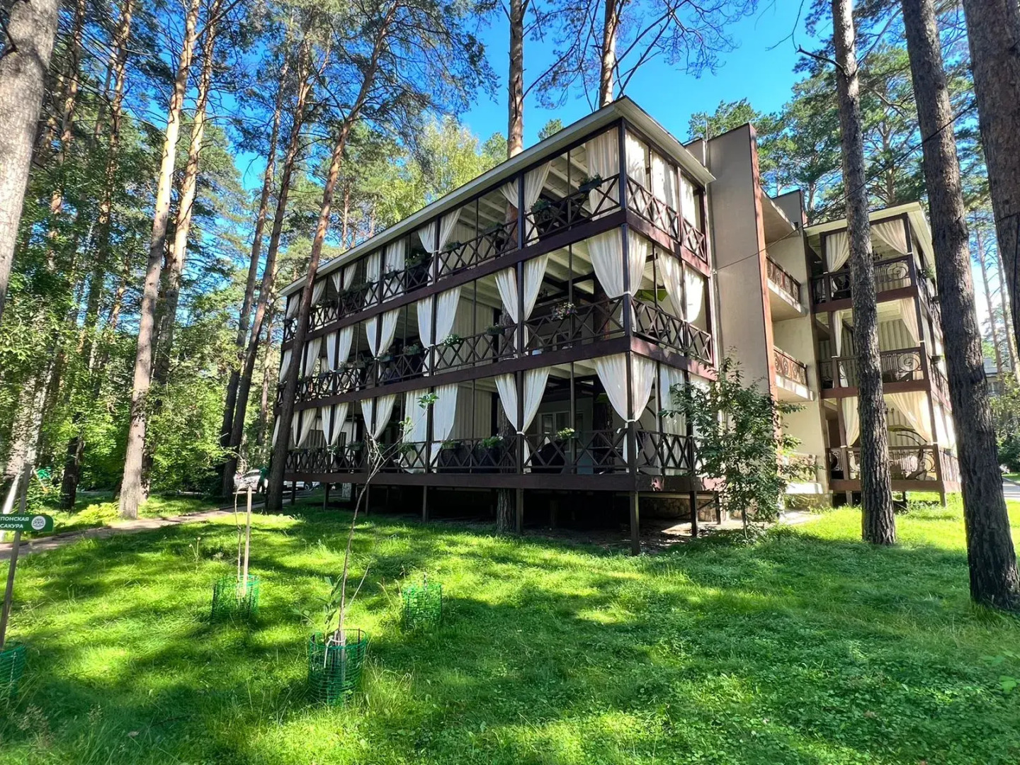 Парк-отель Хвоя