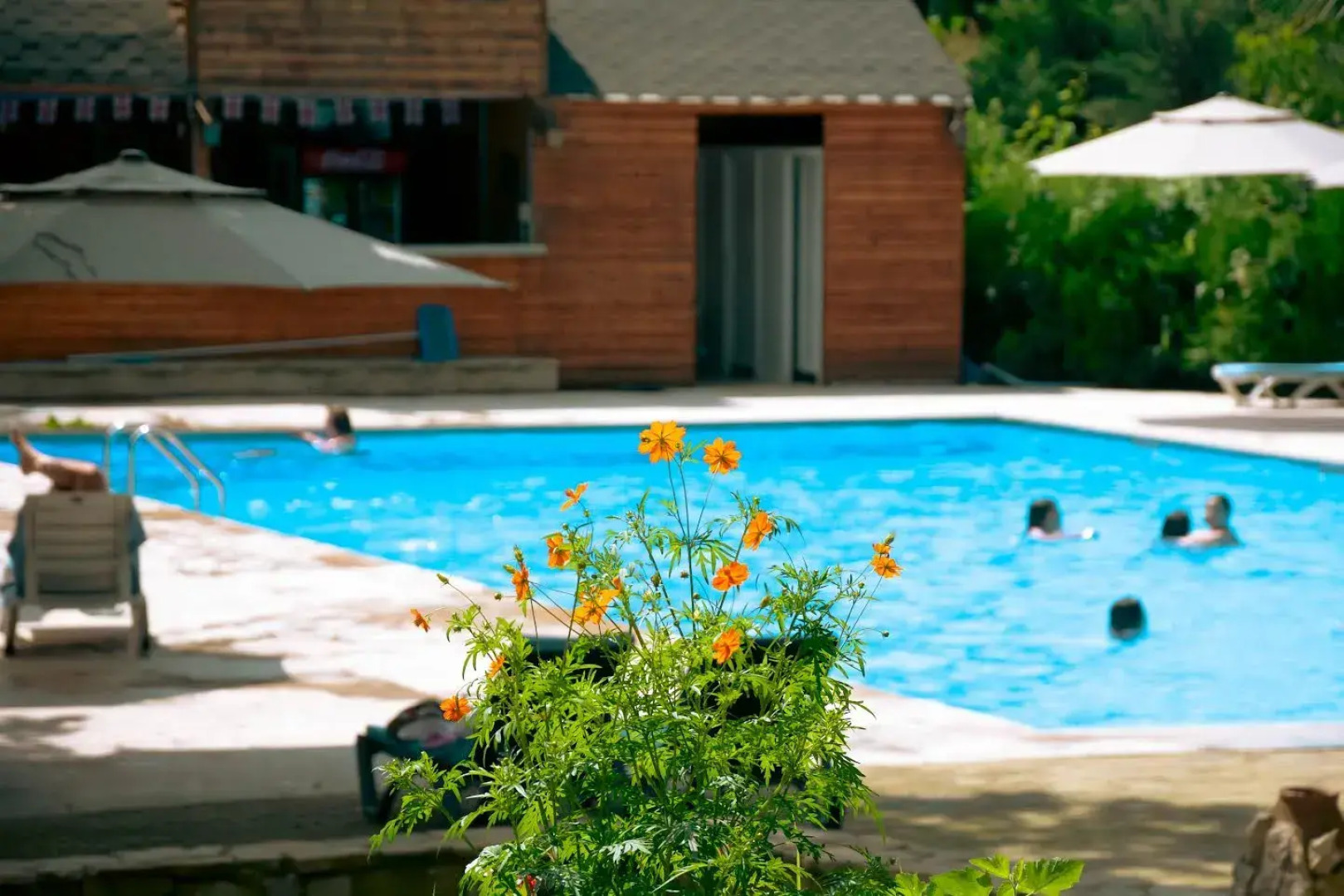 Отель Resort Wald lagodekhi Reserve