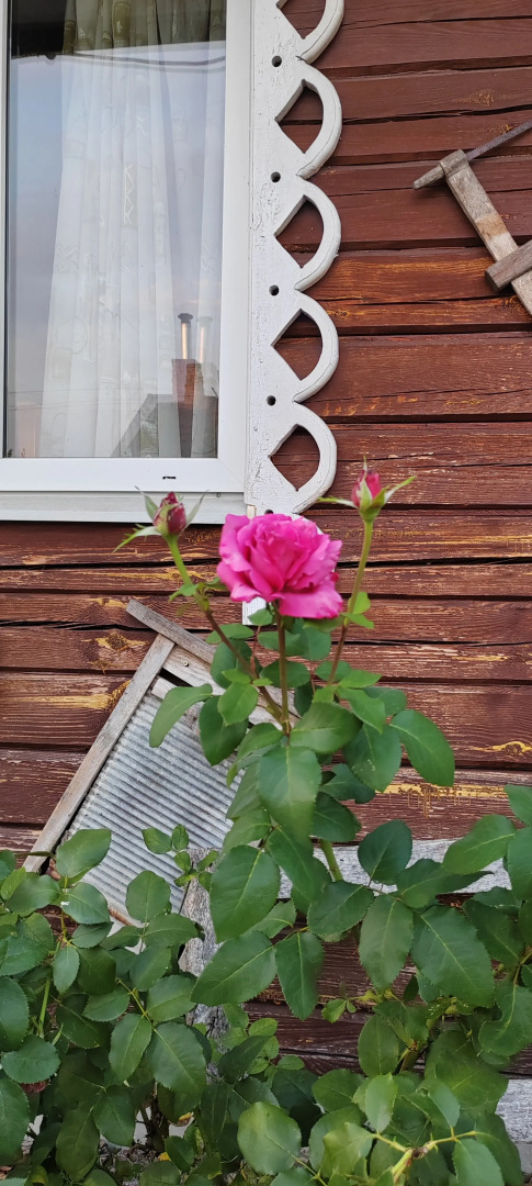 Гостевой Дом Усадьба Деревенский рай