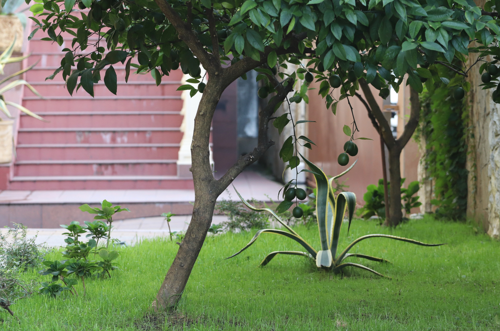 Отель Парадиз