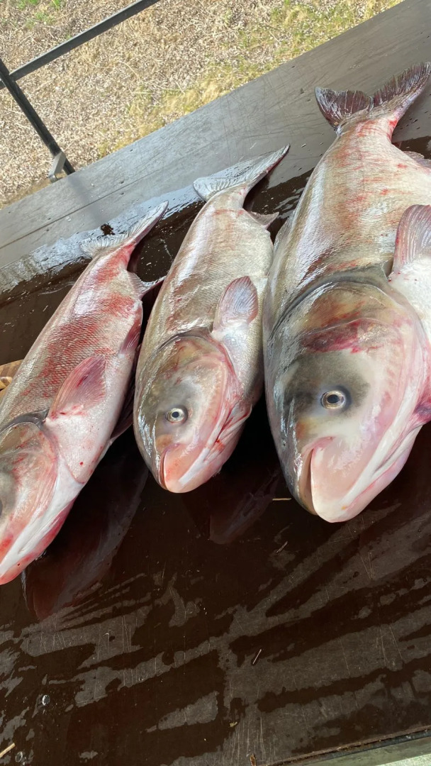 Отель Клевое место