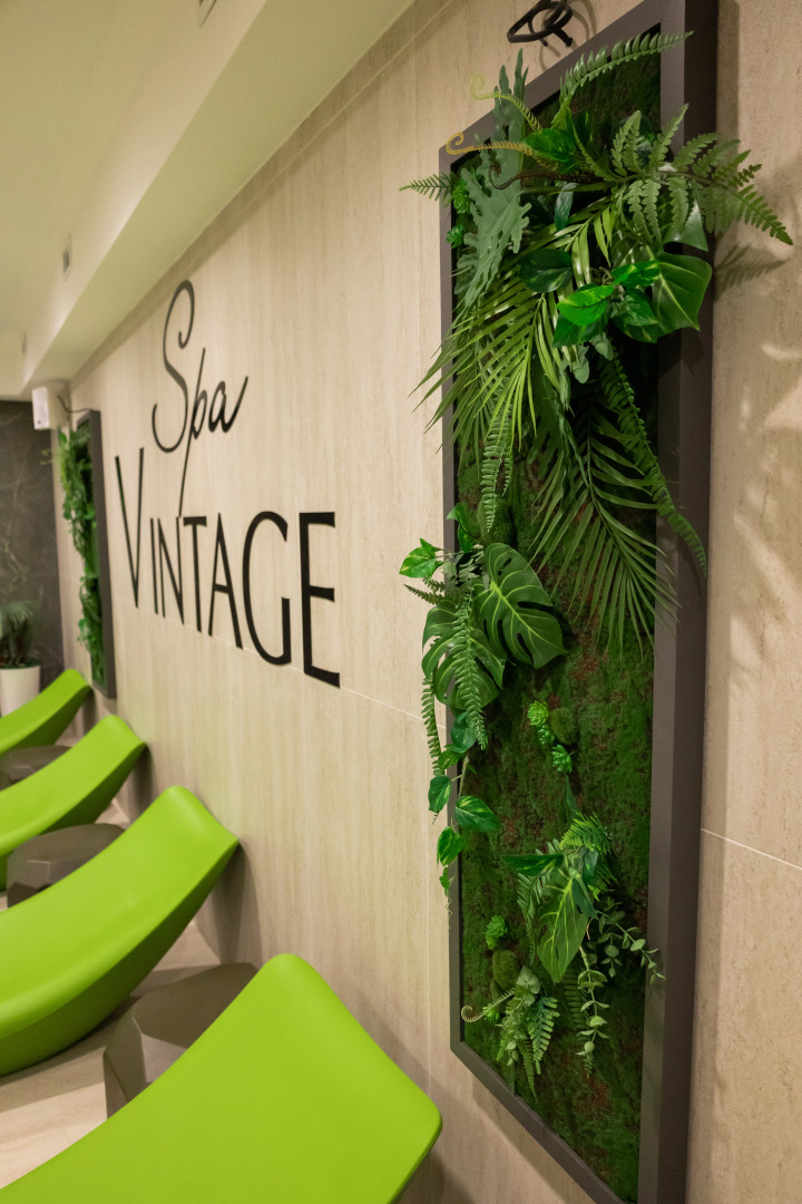 Отель Spa Hotel VINTAGE