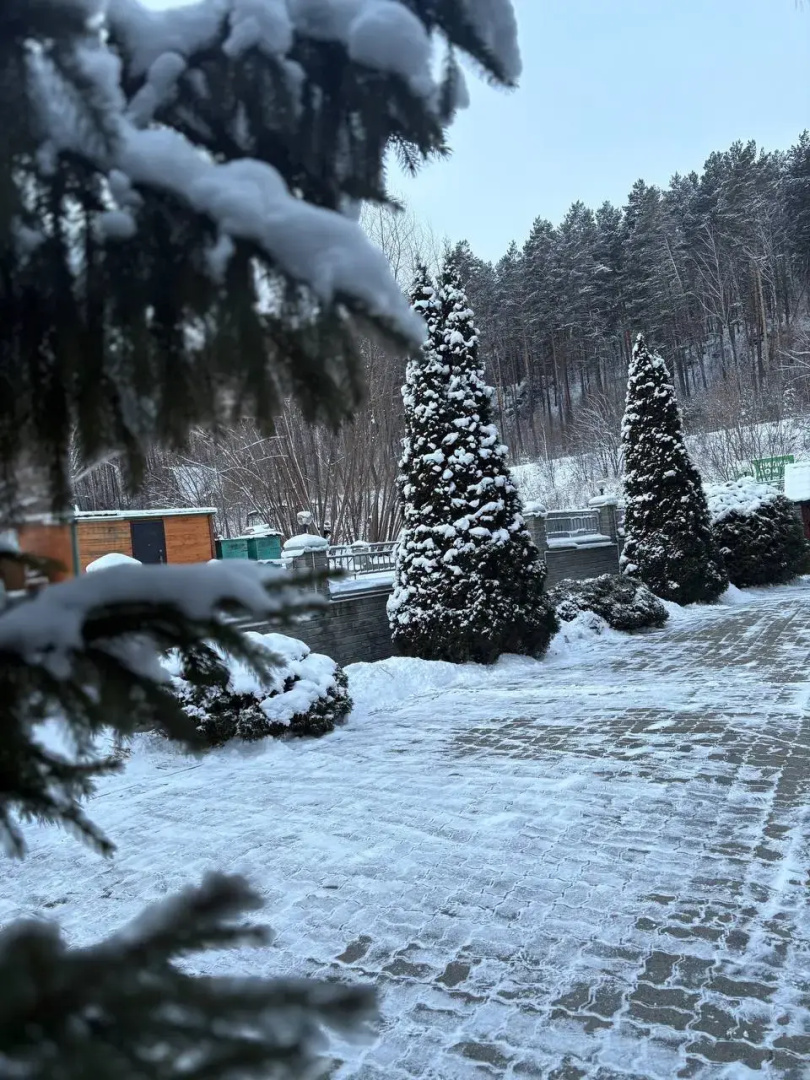 Отель Less