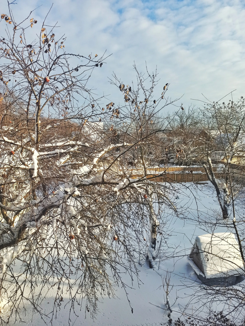 Частный дом Welcome House