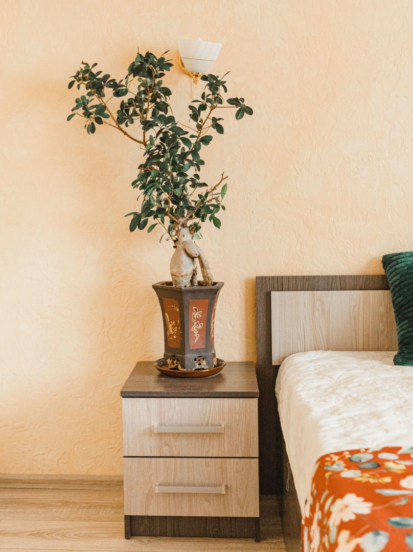 Апартаменты Esenin Okskiy