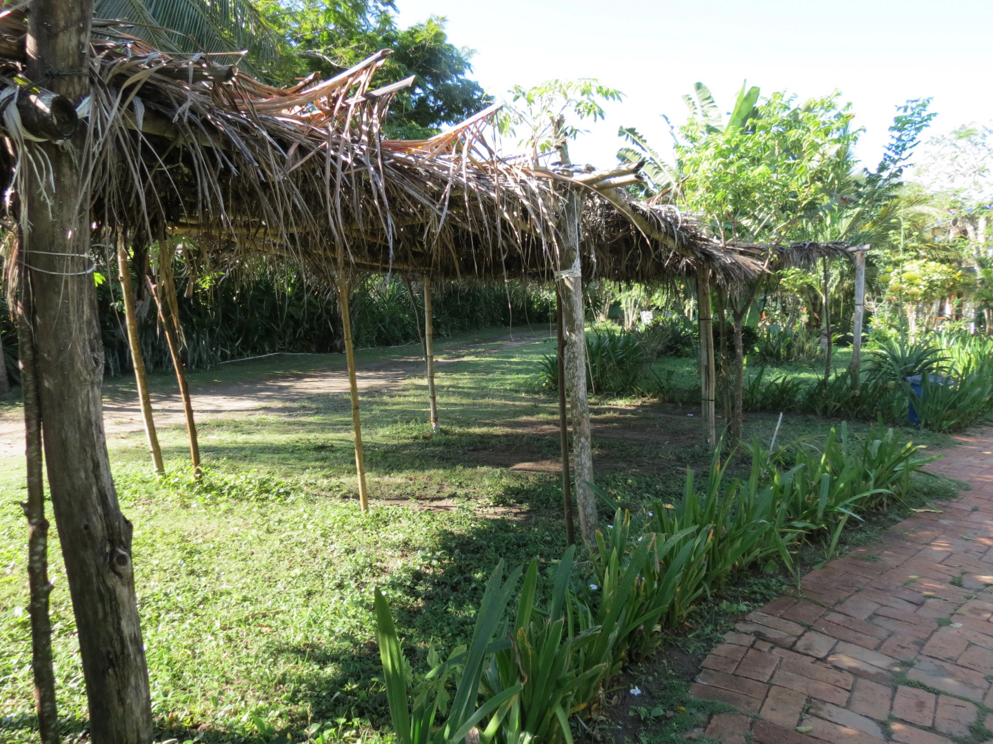 Отель Eco Coco Loco by Rotamundos