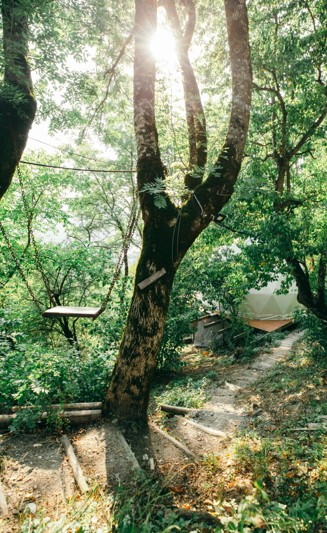 Глэмпинг Wine Space