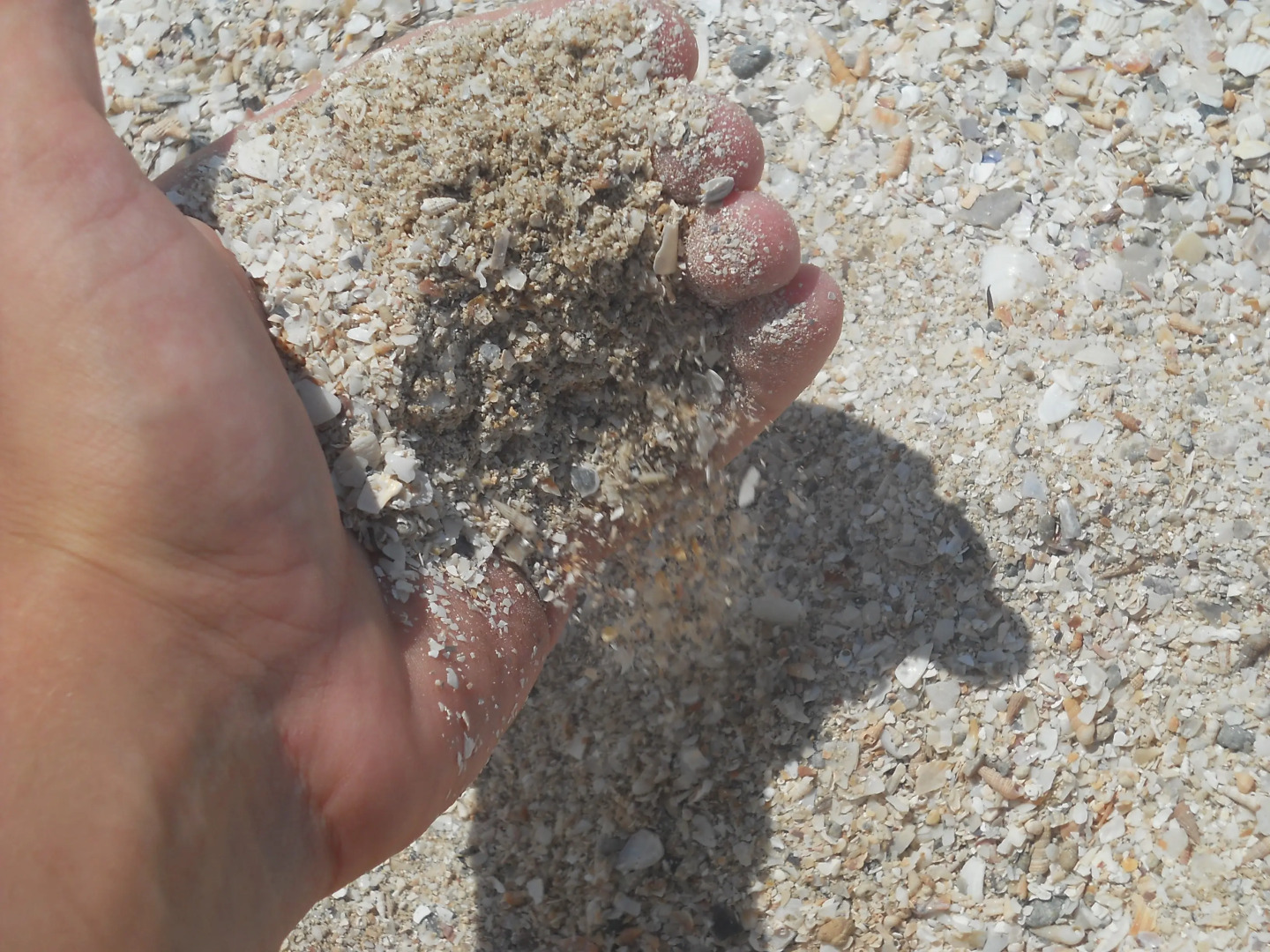 База Отдыха Пансионат Портовое