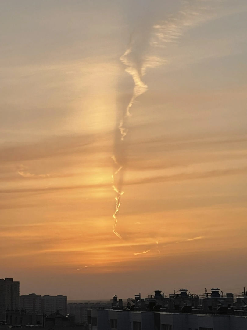 Квартира Ботаника