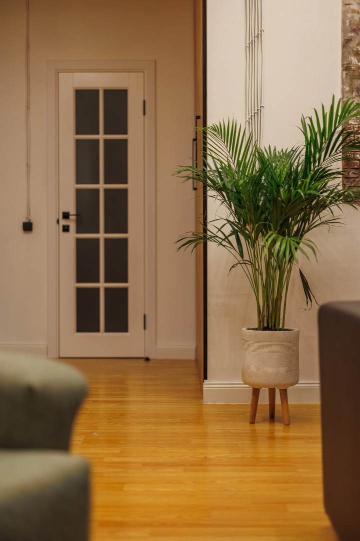 Апартаменты Eteris Downtown