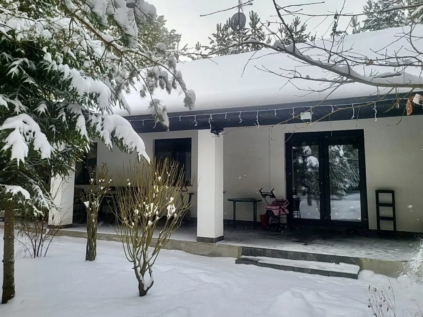 Частный дом Премиальный семейный дом в сосновом лесу