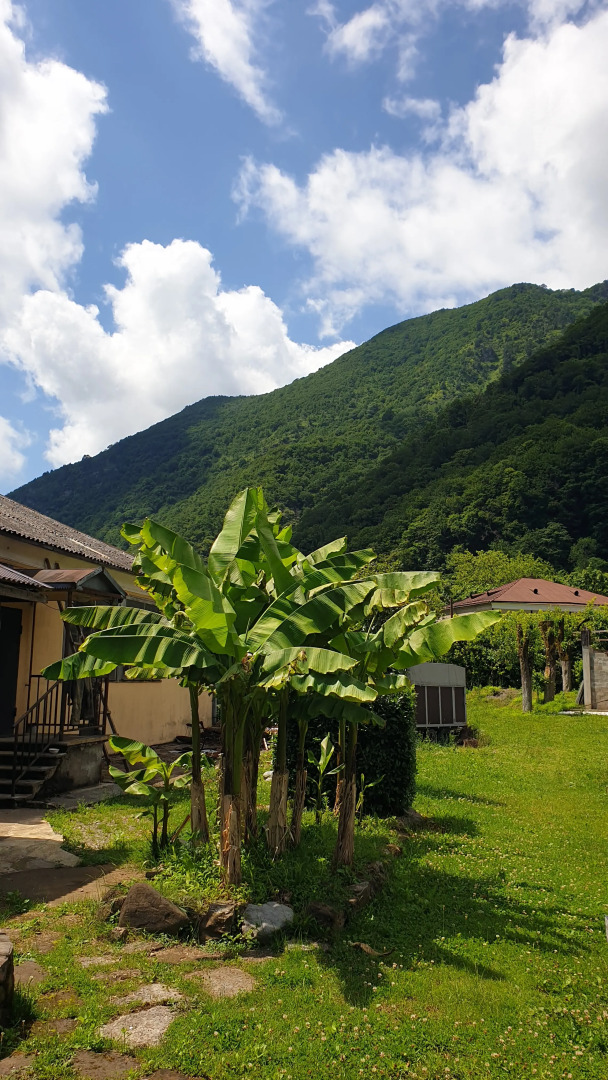 Гостевой дом ДОМИК В ДЕРЕВНЕ