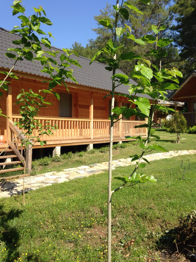 Отель Olymposvillage