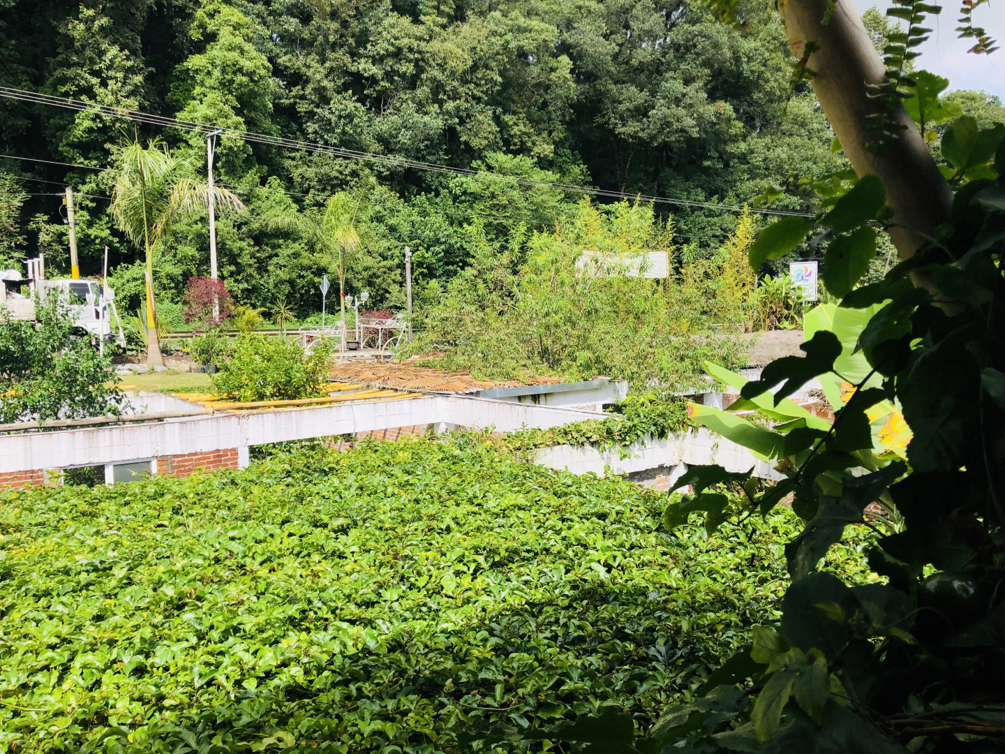 Отель El Capricho Rotamundos