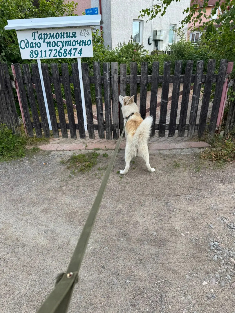 Гостевой дом Гармония