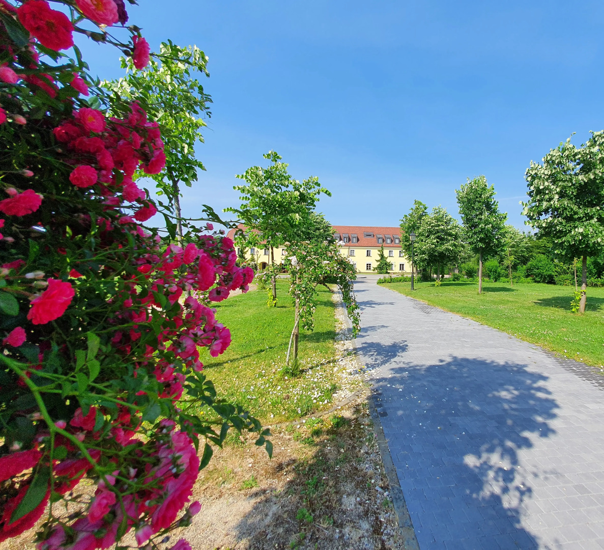 Отель Chateau Jurjevec