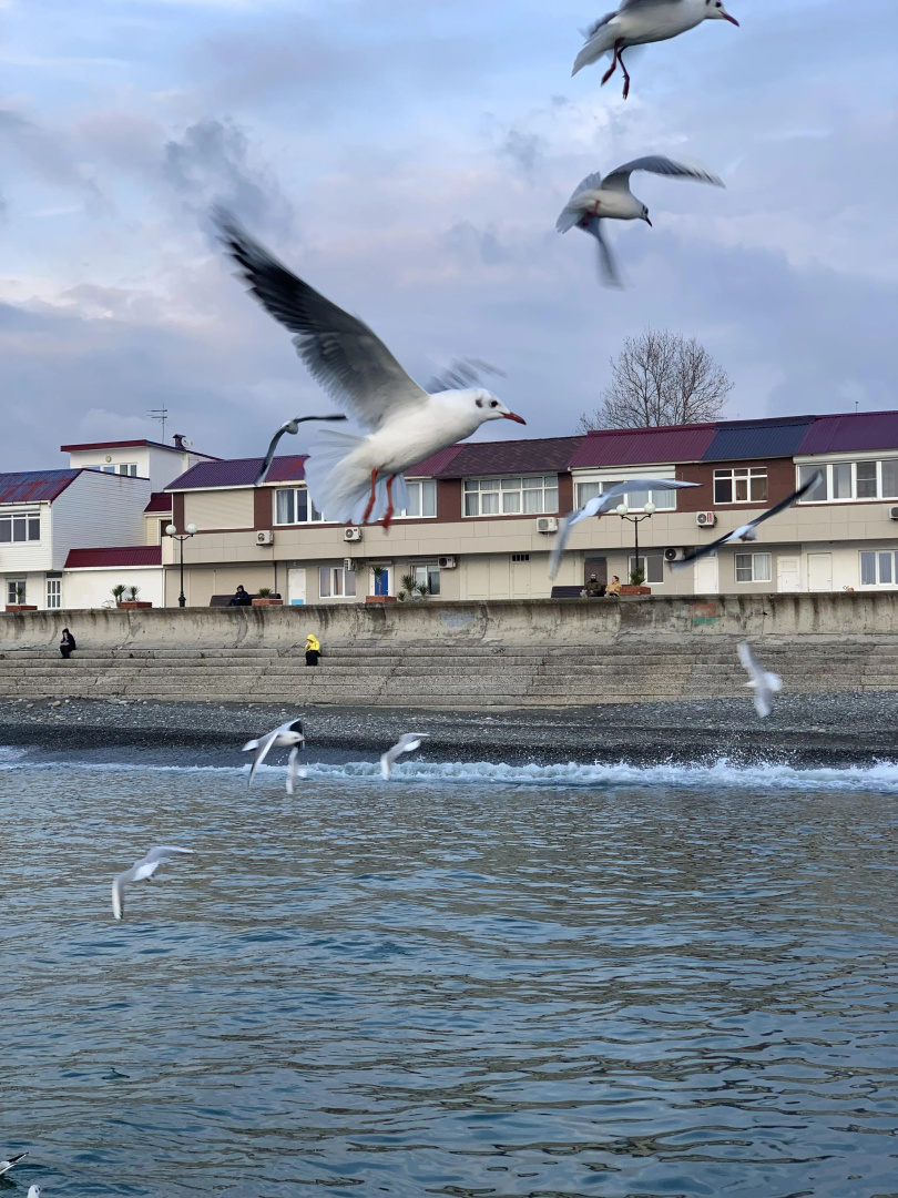 Меблированные комнаты Край моря