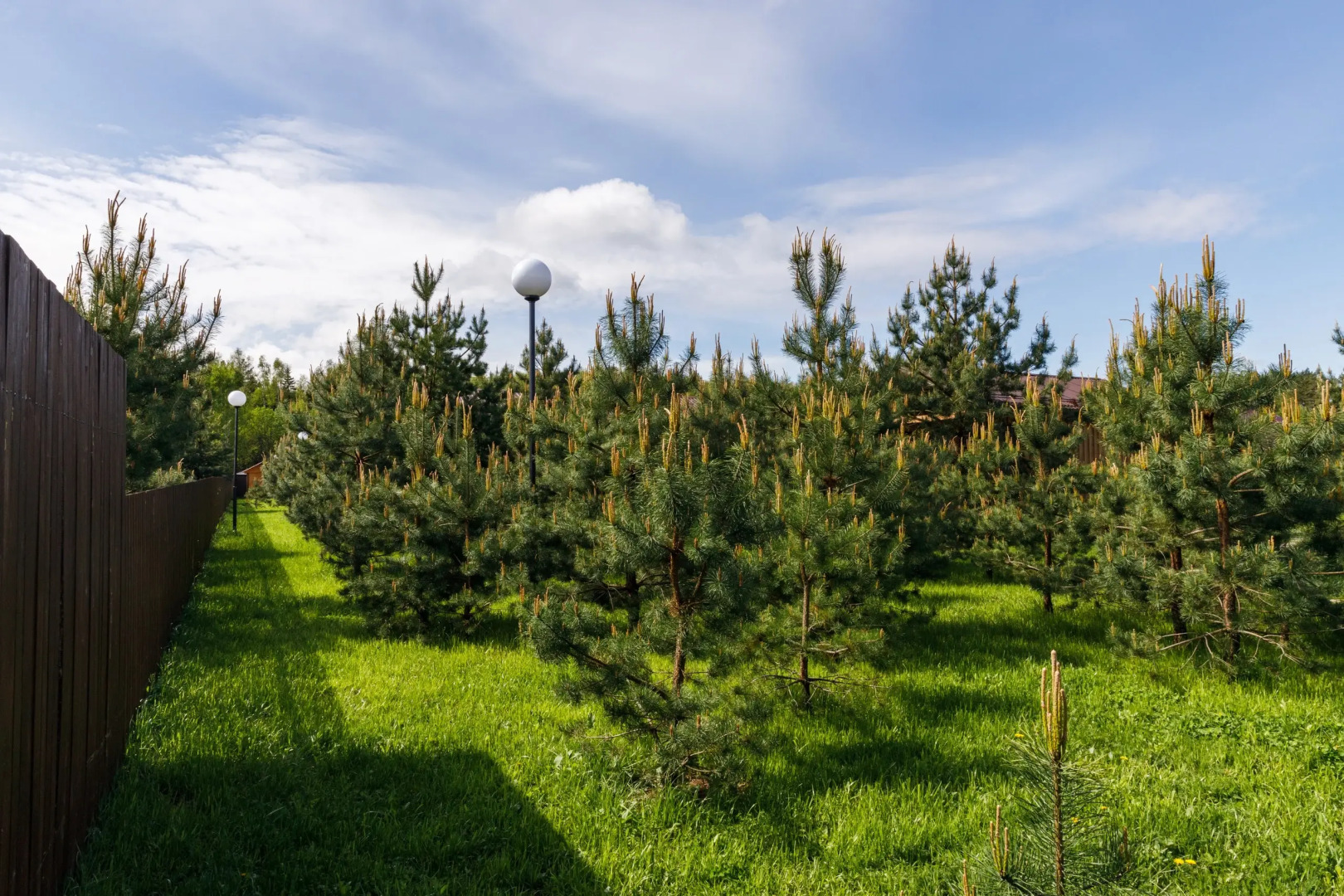 Частный дом 40м в лесной зоне рядом со Звенигородом